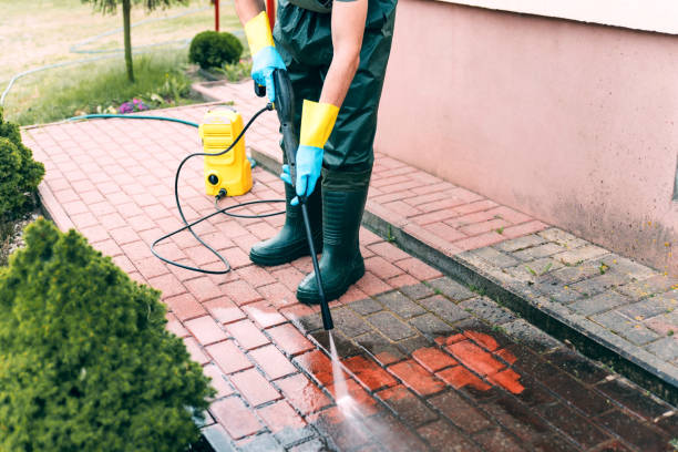 Best Animal Enclosure Cleaning  in Weatherford, TX